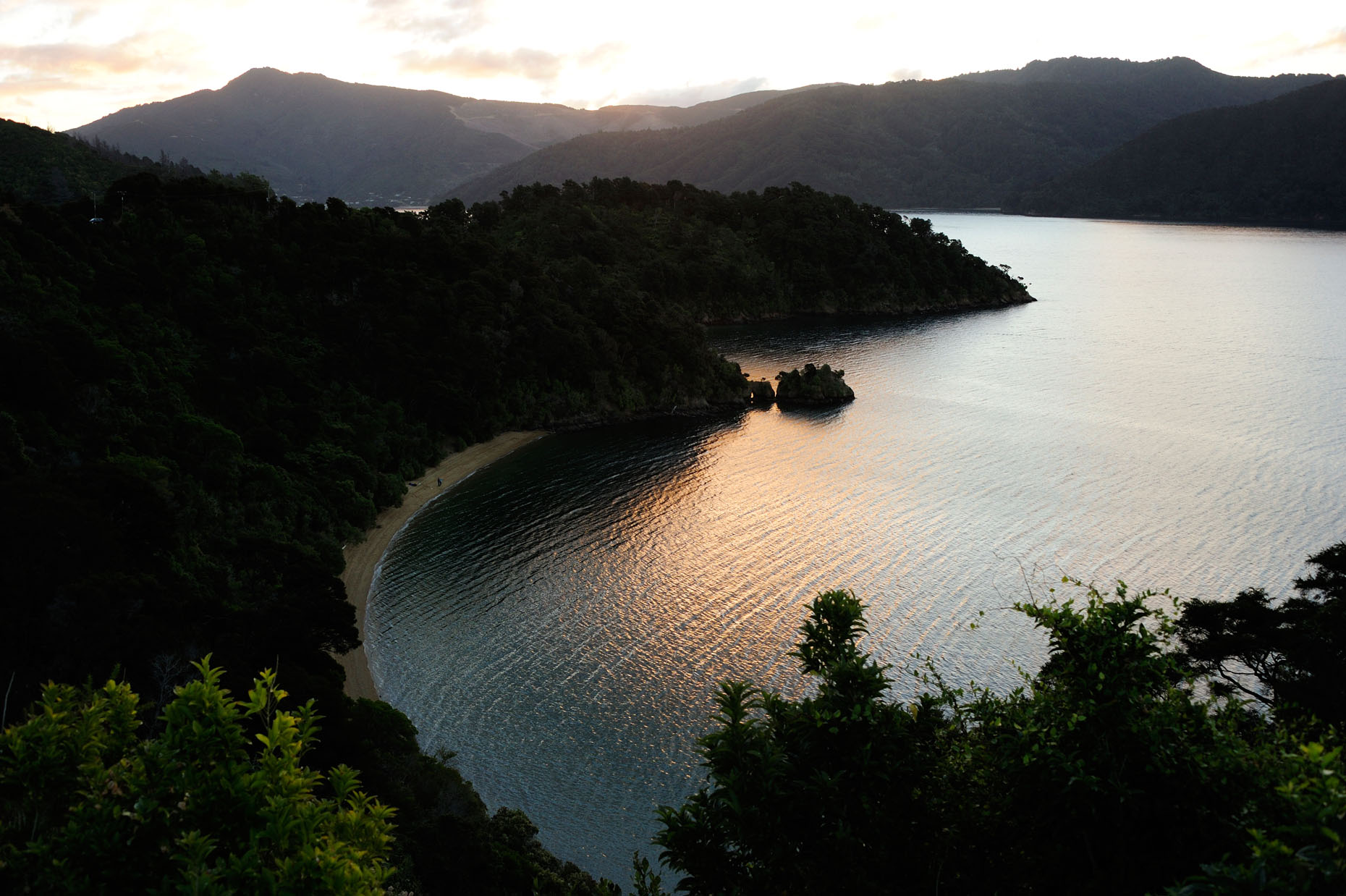 Tasman_04-16-10_3348