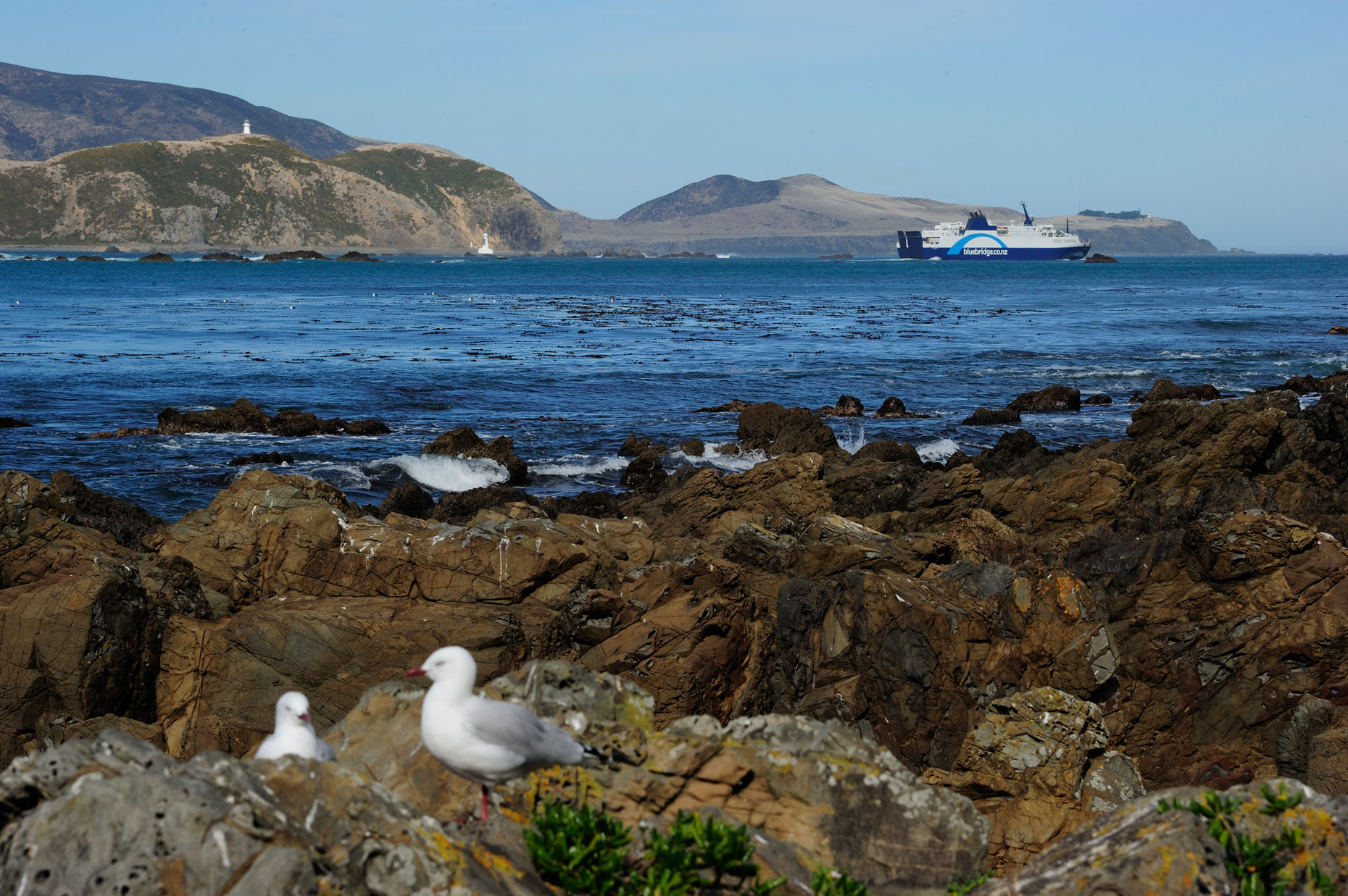 Wgtn_04-19-10_5450