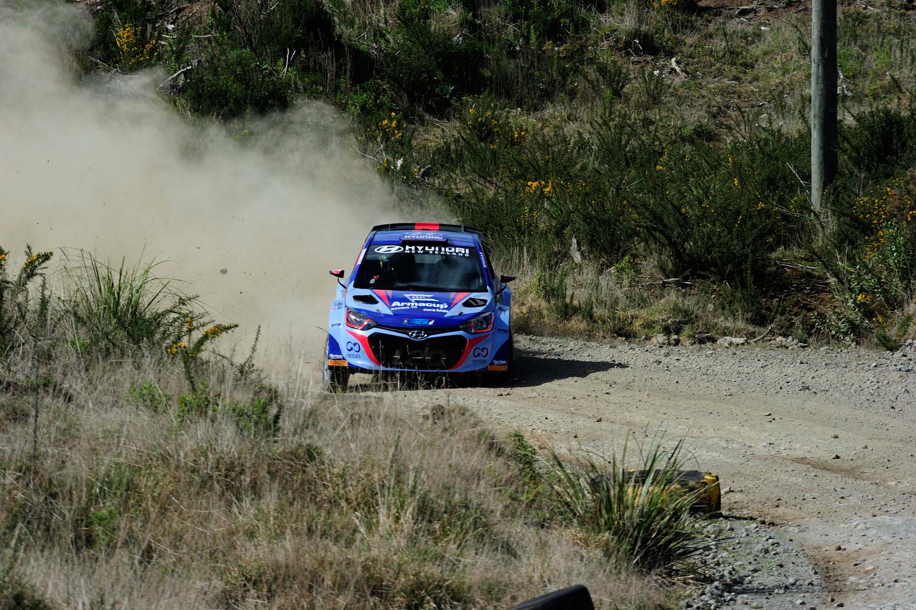 Hayden Paddon Tect Park Tauranga