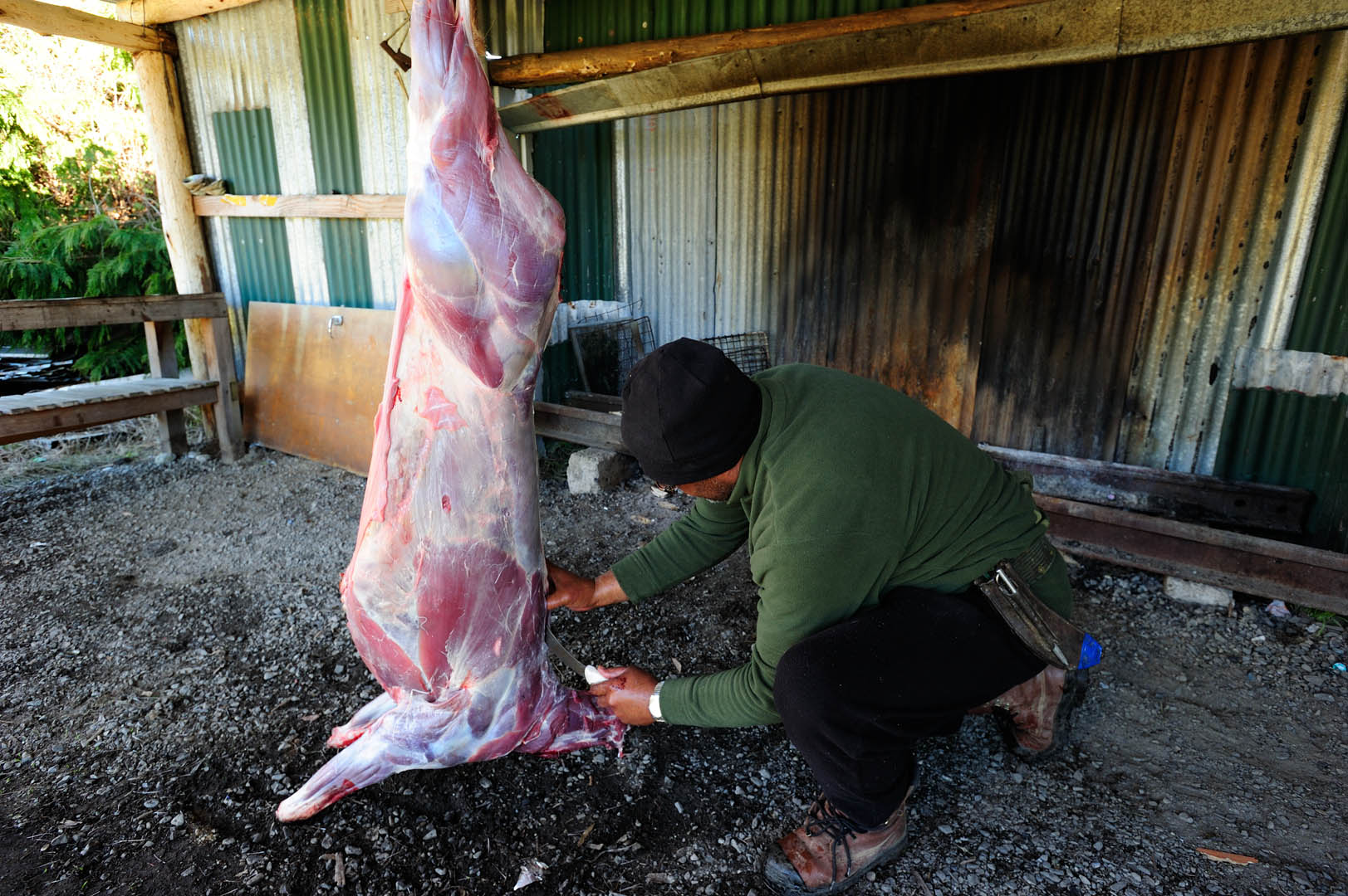 Tuhoe, Lake Waikeremoana