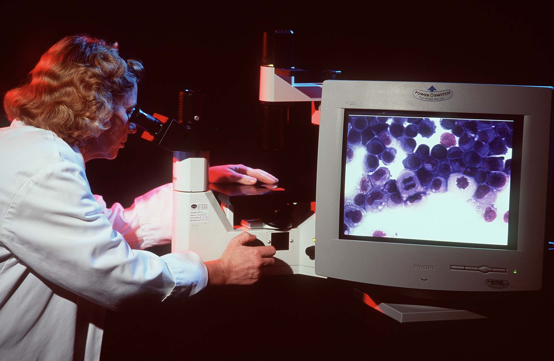 pjqcells