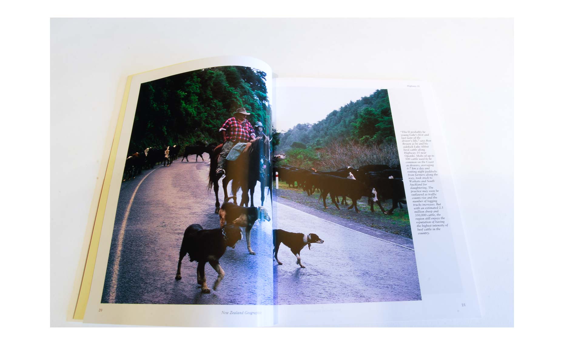 pjqmag8
